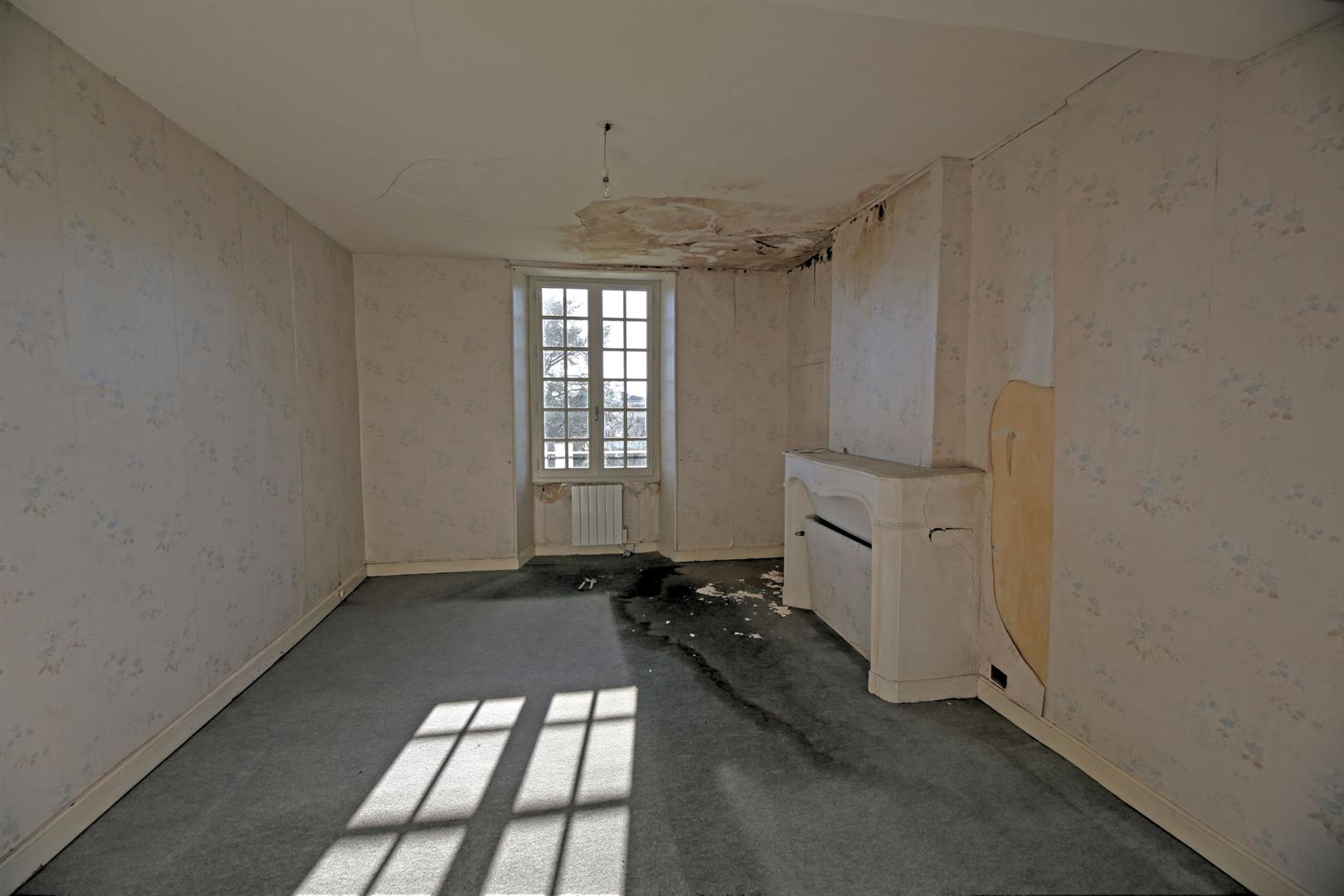 Imposing maison de maître in town with 3 receptions, 5bed/2 bath, surrounding gardens for updating