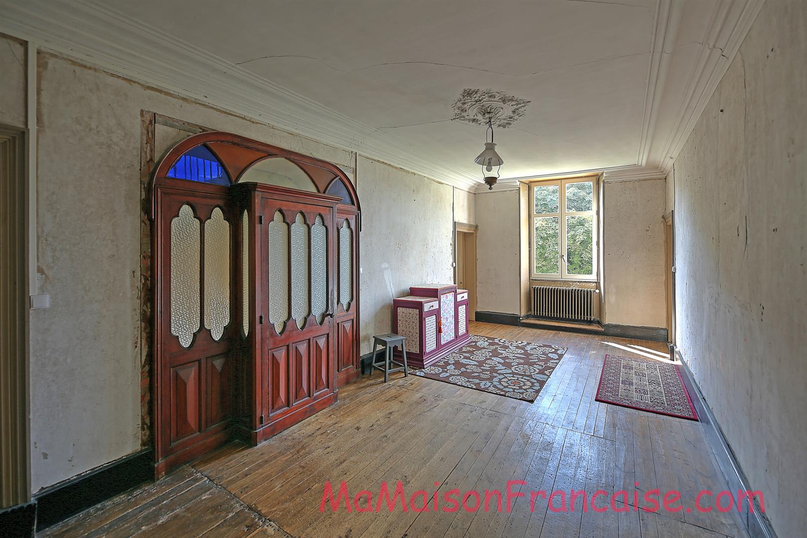 Magnificent Maison de Maître in a town offering spacious, light filled rooms, outbuildings & 5642m2 of land