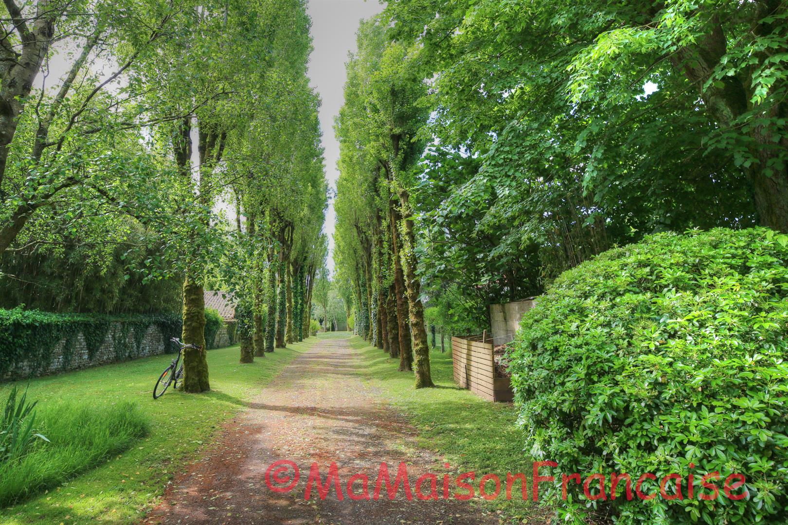 Lovely 4/5 bed stone house with barns and pool in a  village with bar